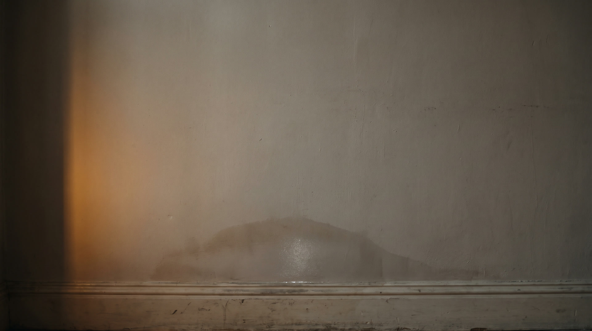 Damp patch with a moisture sheen on a wall above the skirting board